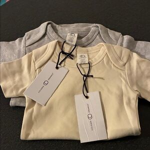 NWT ColoredOrganics,neutral&Grey, bodysuit 3-6m,organiccotton,unisex,earthtone